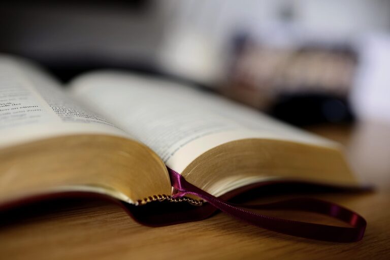 book, bible, book pages, read, training, bible, bible, bible, bible, bible